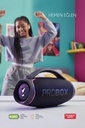 Probox 110W Güç Usb Hafıza Kartı Aux Fm Led Işıklı Bluetooth Hoparlör Hi-Fi Ses Bombası - Görsel 4