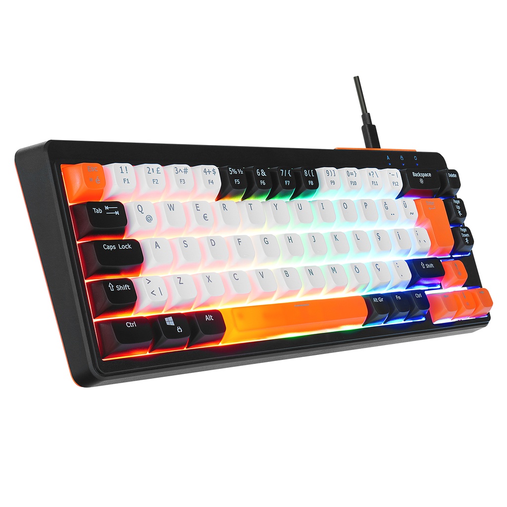 [40607] Acer eMachines EAK810 Bej/Siyah/Turuncu USB Rainbow Aydınlatmalı Mini Q Standart Klavye (Bej/Siyah/Turuncu)