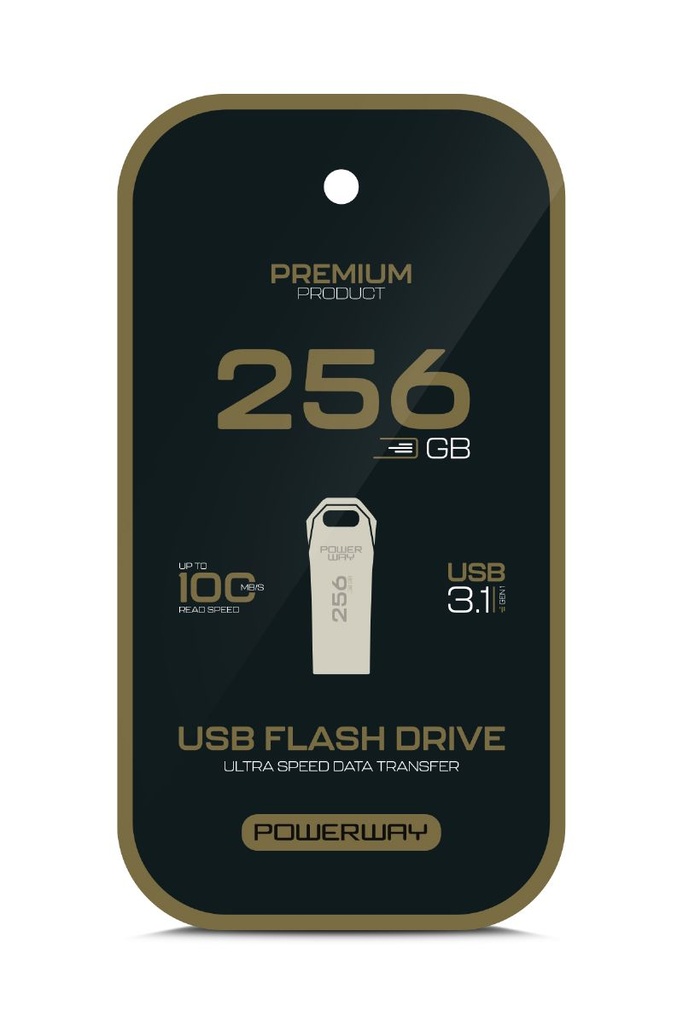 [256 GB PRM USB] Powerway Premium 256 GB USB 3.1 Metal Gövde Ultra Hızlı Flash Bellek Data Traveler