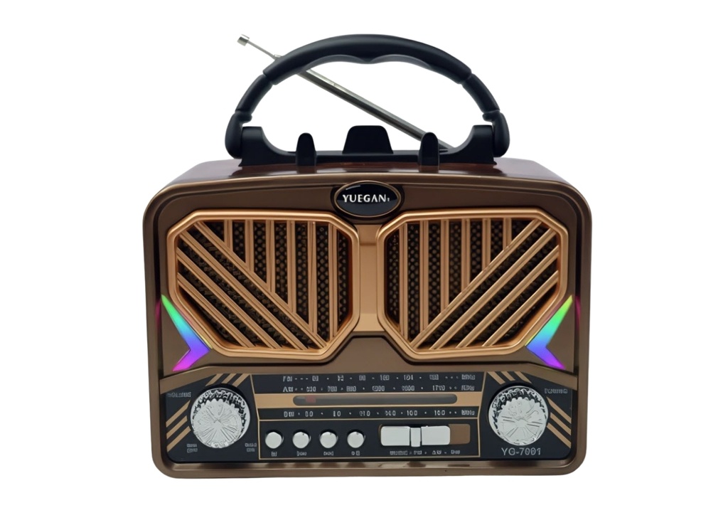 Dempower DP-785G Nostaljik Radyo