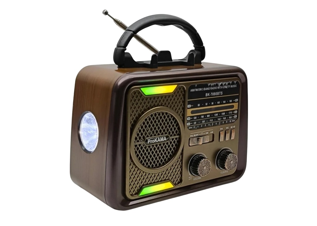 Dempower DP-785A Nostaljik Radyo