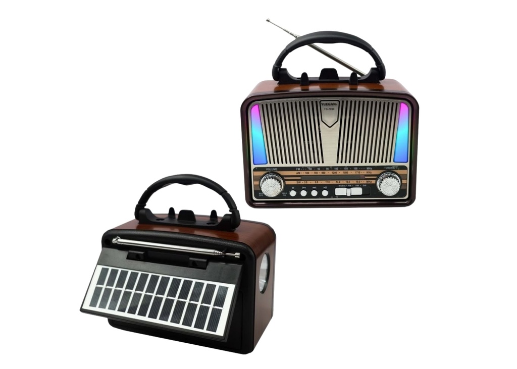 Dempower DP-785F Nostaljik Radyo