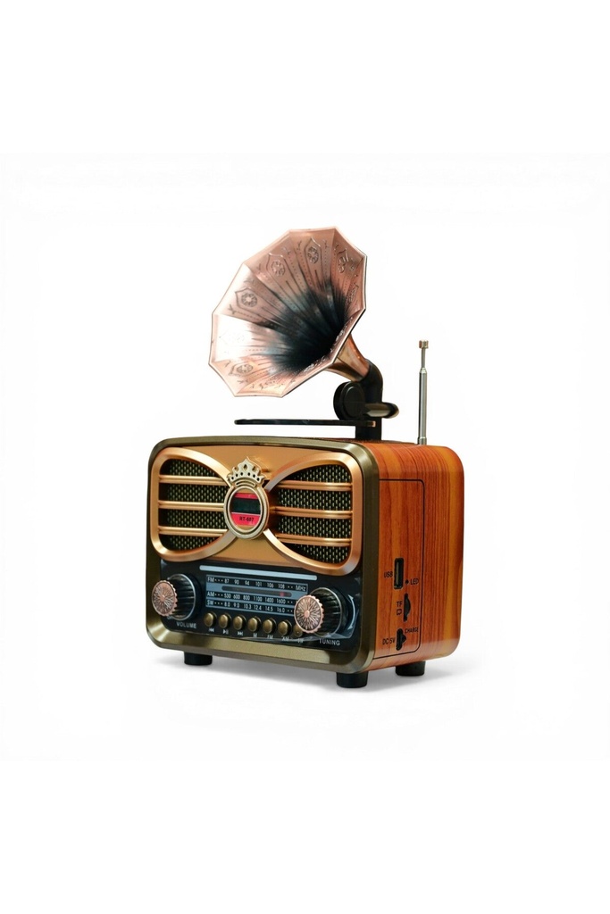 Fastycep Gramafonlu Trend Nostaljik Radyo,Bluetooth Nostalji Radyo