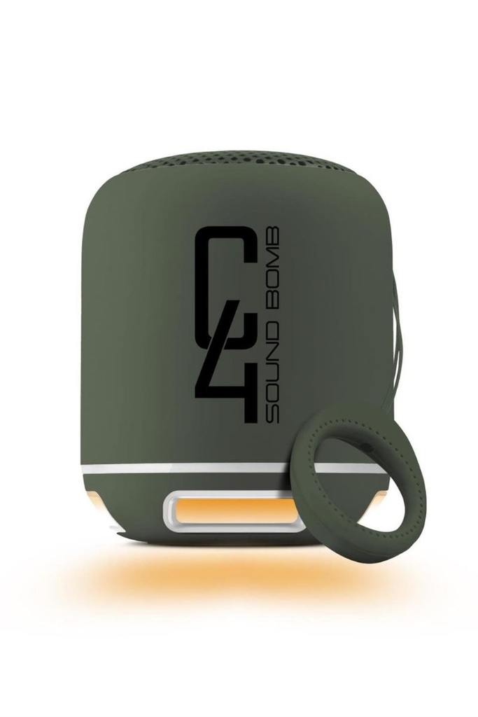 [Delivery_007] C4 SPEAKER